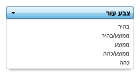 צילומסך של האפשרויות לגוון צבע העור באתר <b>החצי השני</b>