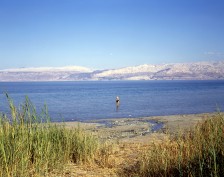 dead sea