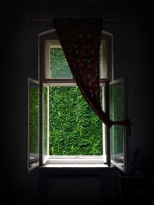 niv_window