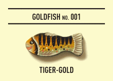 goldfish