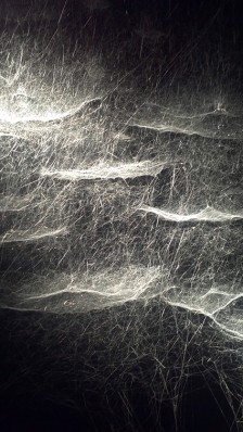 spider-webs-Tomas-Saraceno-s